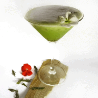 kiwi martini